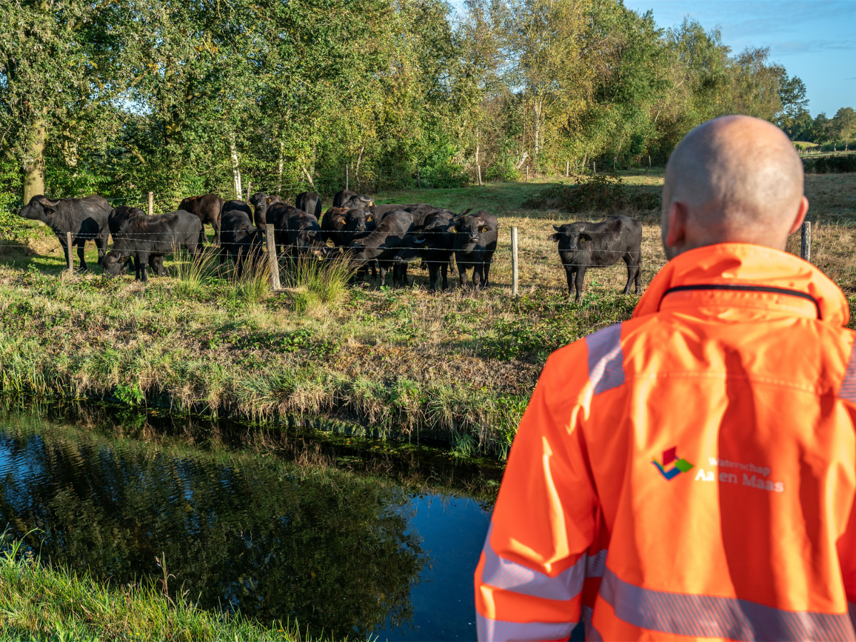 Ligt jouw perceel aan een schouwsloot? Vanaf 15 november controleren wij of je deze goed onderhoudt